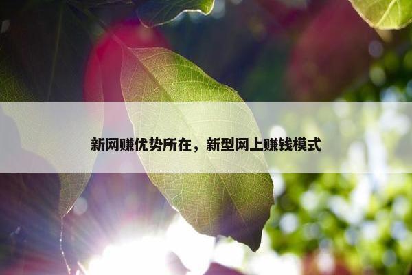 新网赚优势所在,新型网上赚钱模式