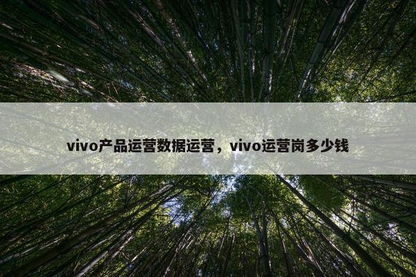 vivo产品运营数据运营,vivo运营岗多少钱 vivo产品运营数据运营,vivo运营岗多少钱