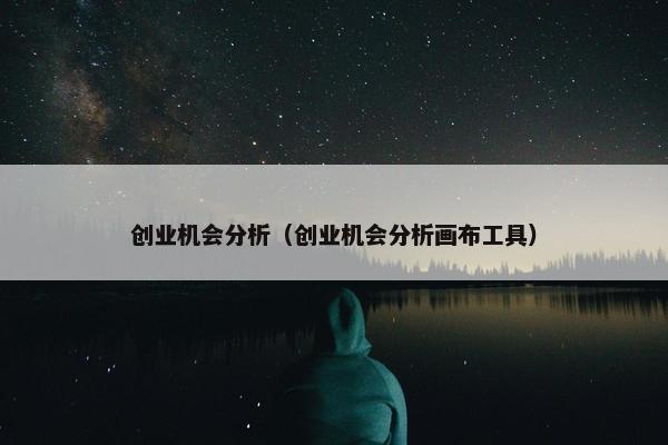 创业机会分析(创业机会分析画布工具)