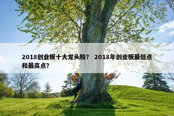 2018创业板十大龙头股？ 2018年创业板最低点和最高点？