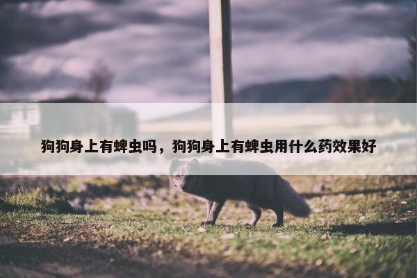 狗狗身上有蜱虫吗,狗狗身上有蜱虫用什么药效果好