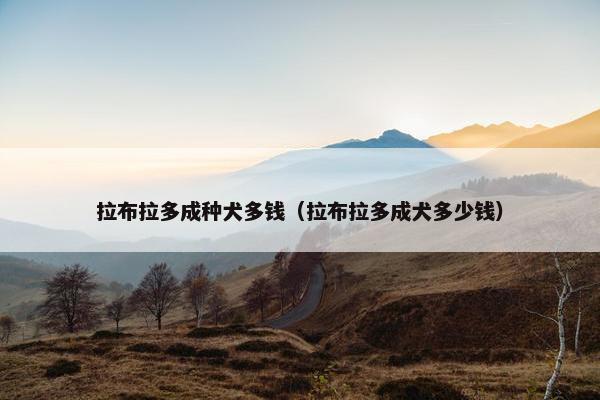 拉布拉多成种犬多钱(拉布拉多成犬多少钱)