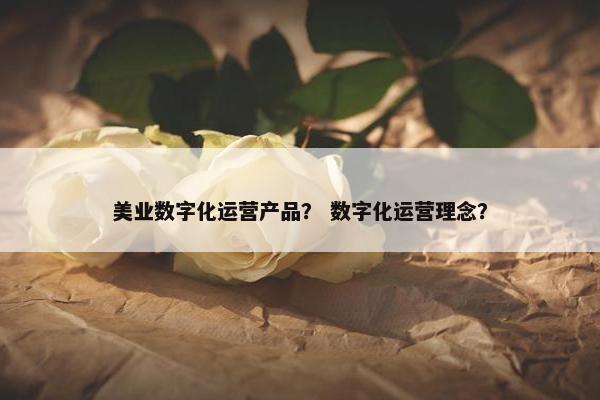 美业数字化运营产品？ 数字化运营理念？