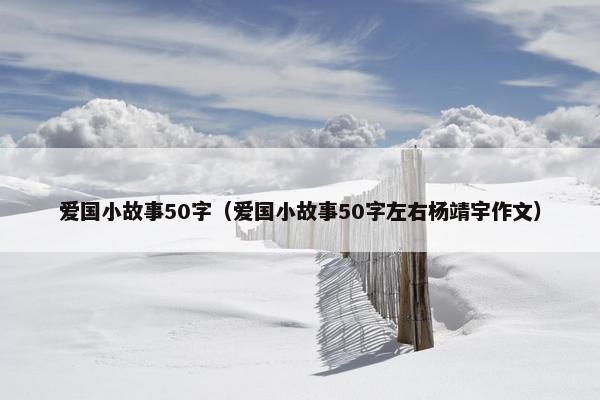爱国小故事50字（爱国小故事50字左右杨靖宇作文）