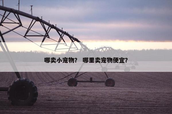 哪卖小宠物？ 哪里卖宠物便宜？
