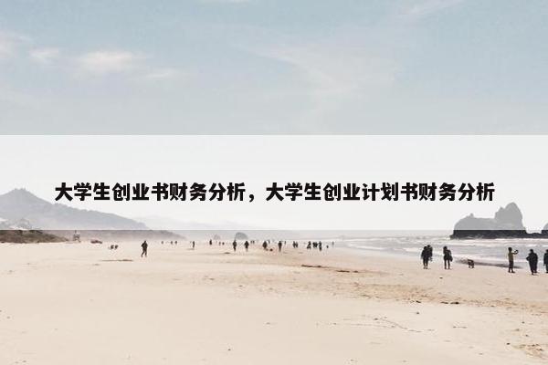 大学生创业书财务分析,大学生创业计划书财务分析