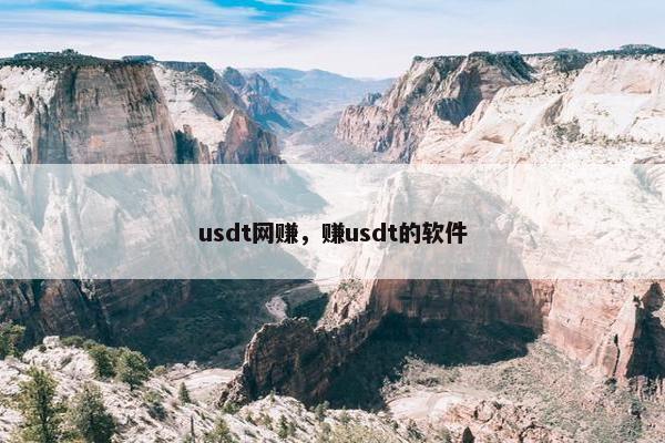 usdt网赚,赚usdt的软件