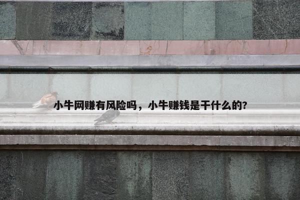 小牛网赚有风险吗,小牛赚钱是干什么的?