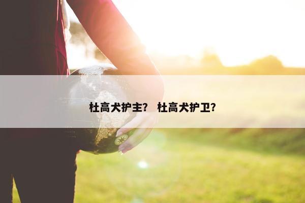 杜高犬护主? 杜高犬护卫? 杜高犬护主? 杜高犬护卫?