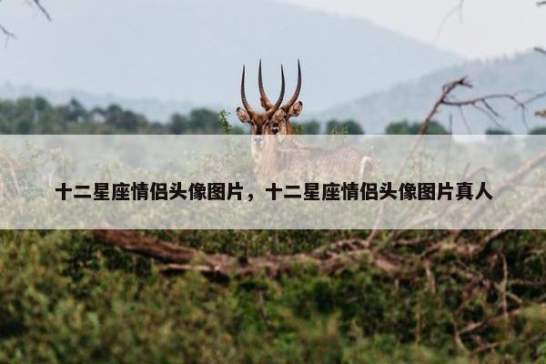 十二星座情侣头像图片,十二星座情侣头像图片真人