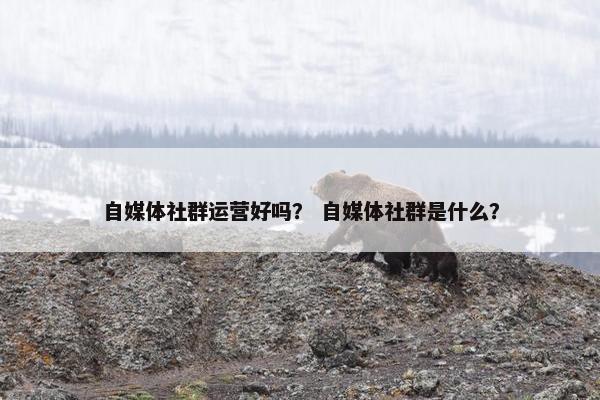 自媒体社群运营好吗？ 自媒体社群是什么？