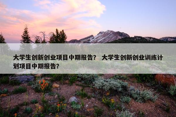 大学生创新创业项目中期报告? 大学生创新创业训练计划项目中期报告?