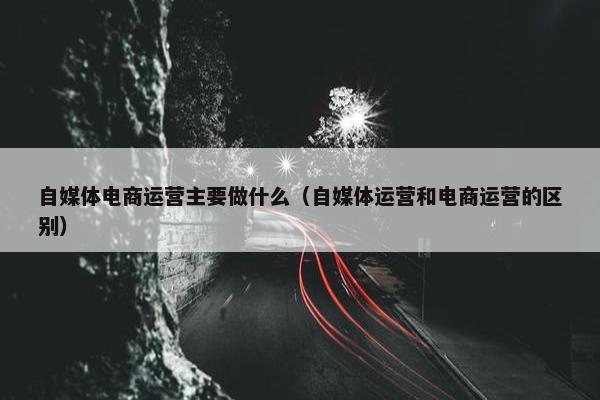 自媒体电商运营主要做什么(自媒体运营和电商运营的区别)