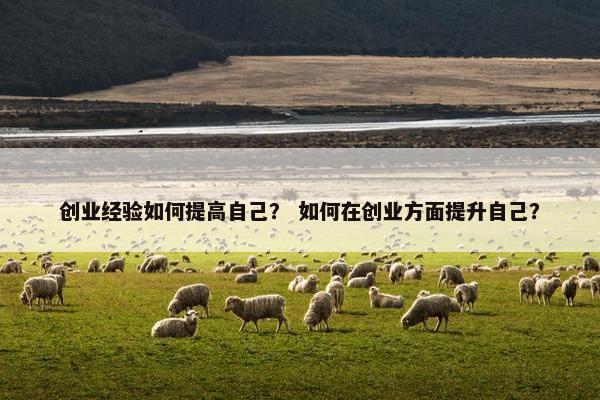 创业经验如何提高自己? 如何在创业方面提升自己?