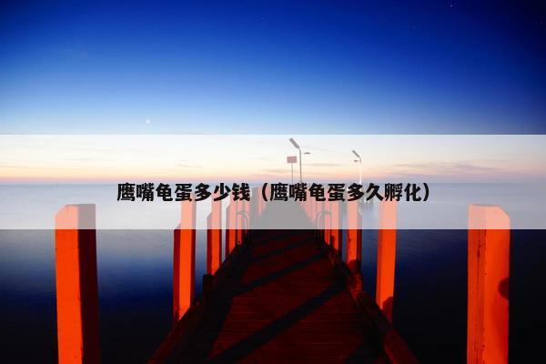 鹰嘴龟蛋多少钱（鹰嘴龟蛋多久孵化）