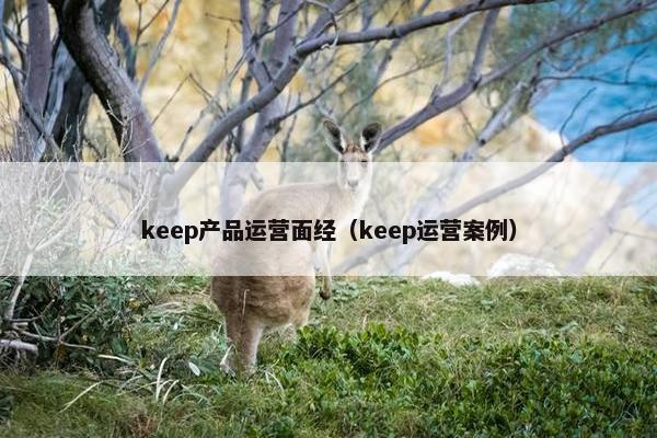 keep产品运营面经(keep运营案例)