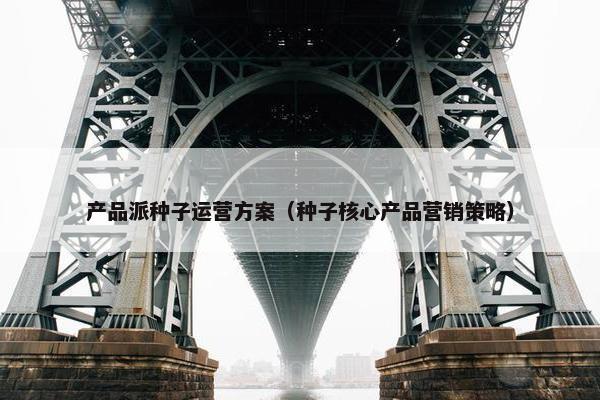 产品派种子运营方案(种子核心产品营销策略)