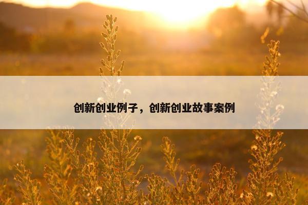 创新创业例子,创新创业故事案例 创新创业例子,创新创业故事案例