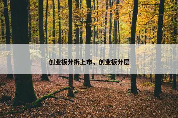 创业板分拆上市，创业板分层