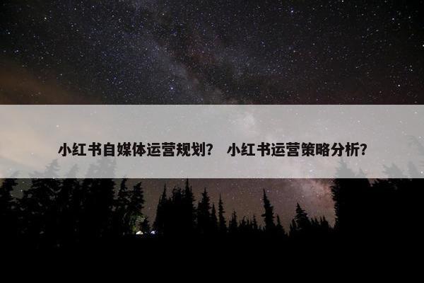 小红书自媒体运营规划? 小红书运营策略分析?