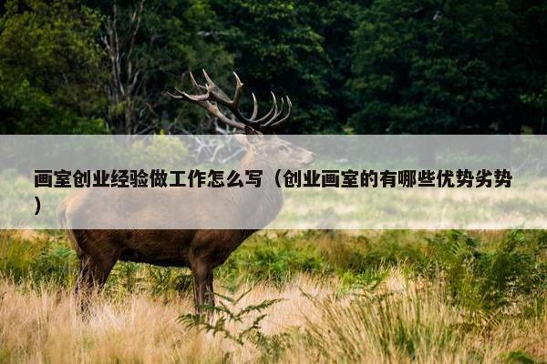 画室创业经验做工作怎么写（创业画室的有哪些优势劣势）