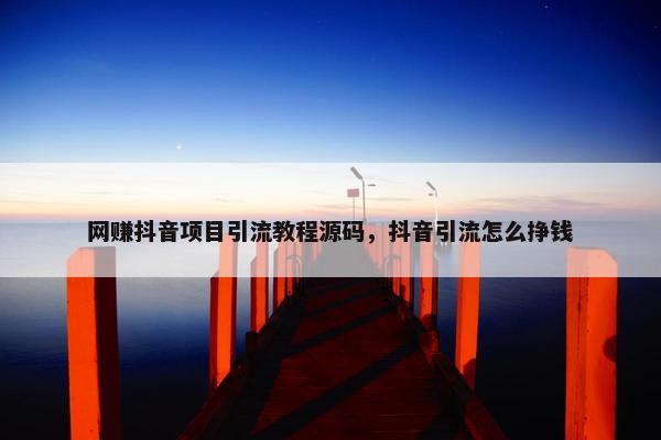 网赚抖音项目引流教程源码，抖音引流怎么挣钱