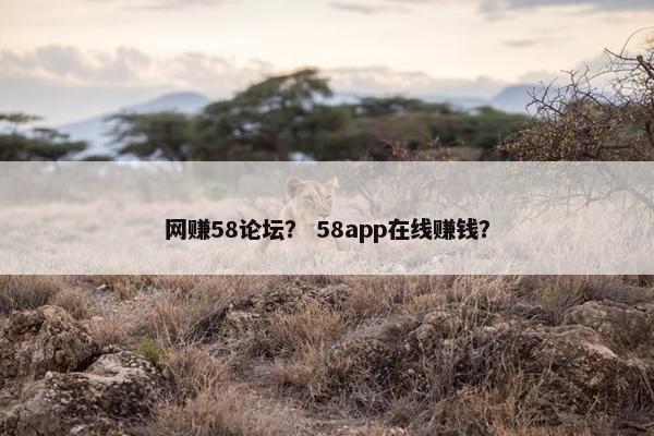 网赚58论坛？ 58app在线赚钱？