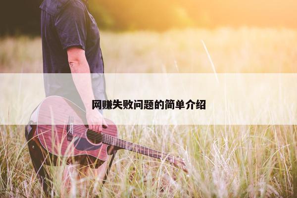 网赚失败问题的简单介绍