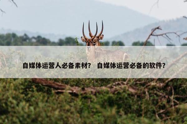 自媒体运营人必备素材？ 自媒体运营必备的软件？