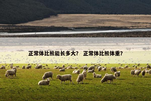 正常体比熊能长多大？ 正常体比熊体重？