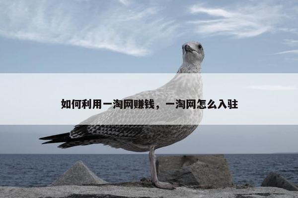 如何利用一淘网赚钱，一淘网怎么入驻