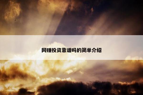 网赚投资靠谱吗的简单介绍