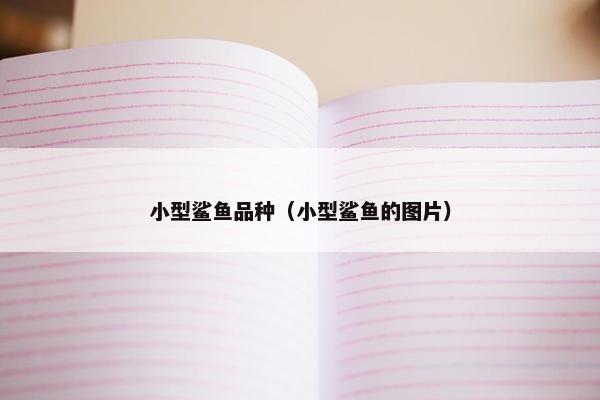 小型鲨鱼品种（小型鲨鱼的图片）