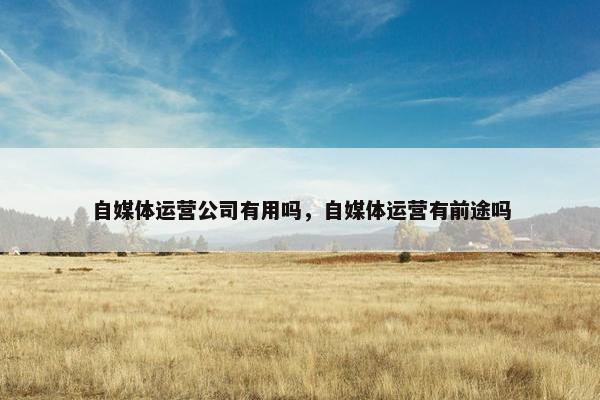 自媒体运营公司有用吗，自媒体运营有前途吗