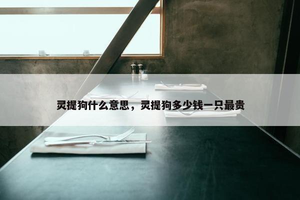 灵提狗什么意思，灵提狗多少钱一只最贵