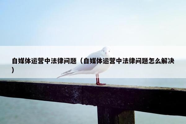 自媒体运营中法律问题（自媒体运营中法律问题怎么解决）