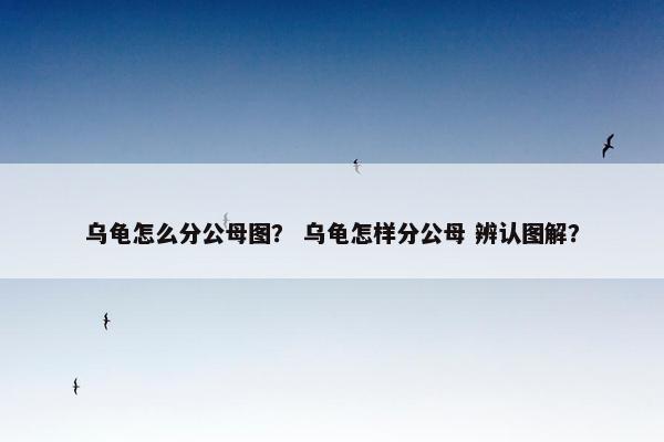 乌龟怎么分公母图？ 乌龟怎样分公母 辨认图解？