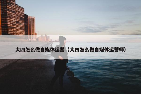 大四怎么做自媒体运营（大四怎么做自媒体运营师）