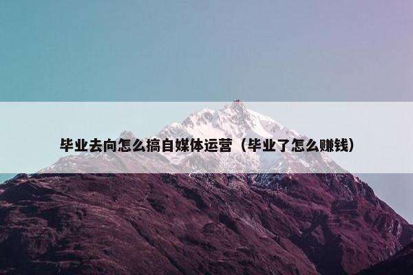 毕业去向怎么搞自媒体运营（毕业了怎么赚钱）