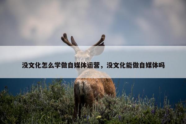 没文化怎么学做自媒体运营，没文化能做自媒体吗