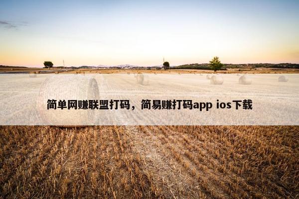 简单网赚联盟打码，简易赚打码app ios下载