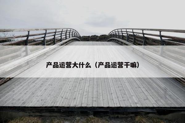 产品运营大什么（产品运营干嘛）