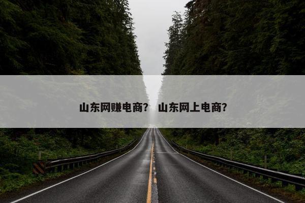山东网赚电商？ 山东网上电商？