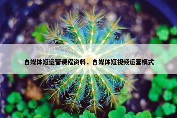 自媒体短运营课程资料，自媒体短视频运营模式