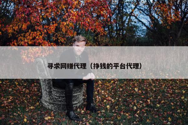 寻求网赚代理（挣钱的平台代理）