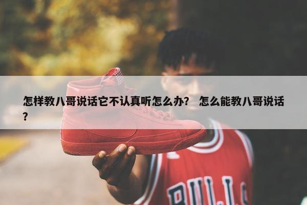 怎样教八哥说话它不认真听怎么办？ 怎么能教八哥说话？