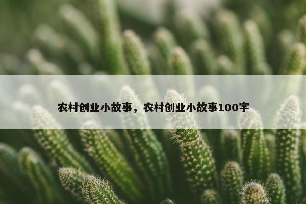 农村创业小故事，农村创业小故事100字