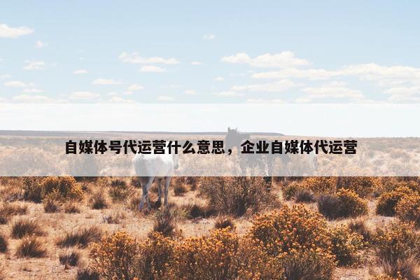 自媒体号代运营什么意思，企业自媒体代运营