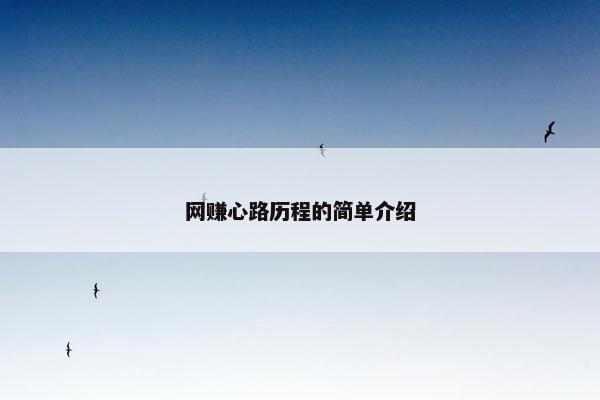 网赚心路历程的简单介绍