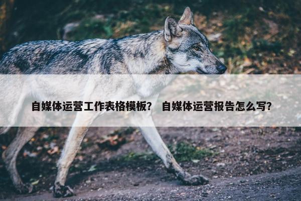 自媒体运营工作表格模板？ 自媒体运营报告怎么写？